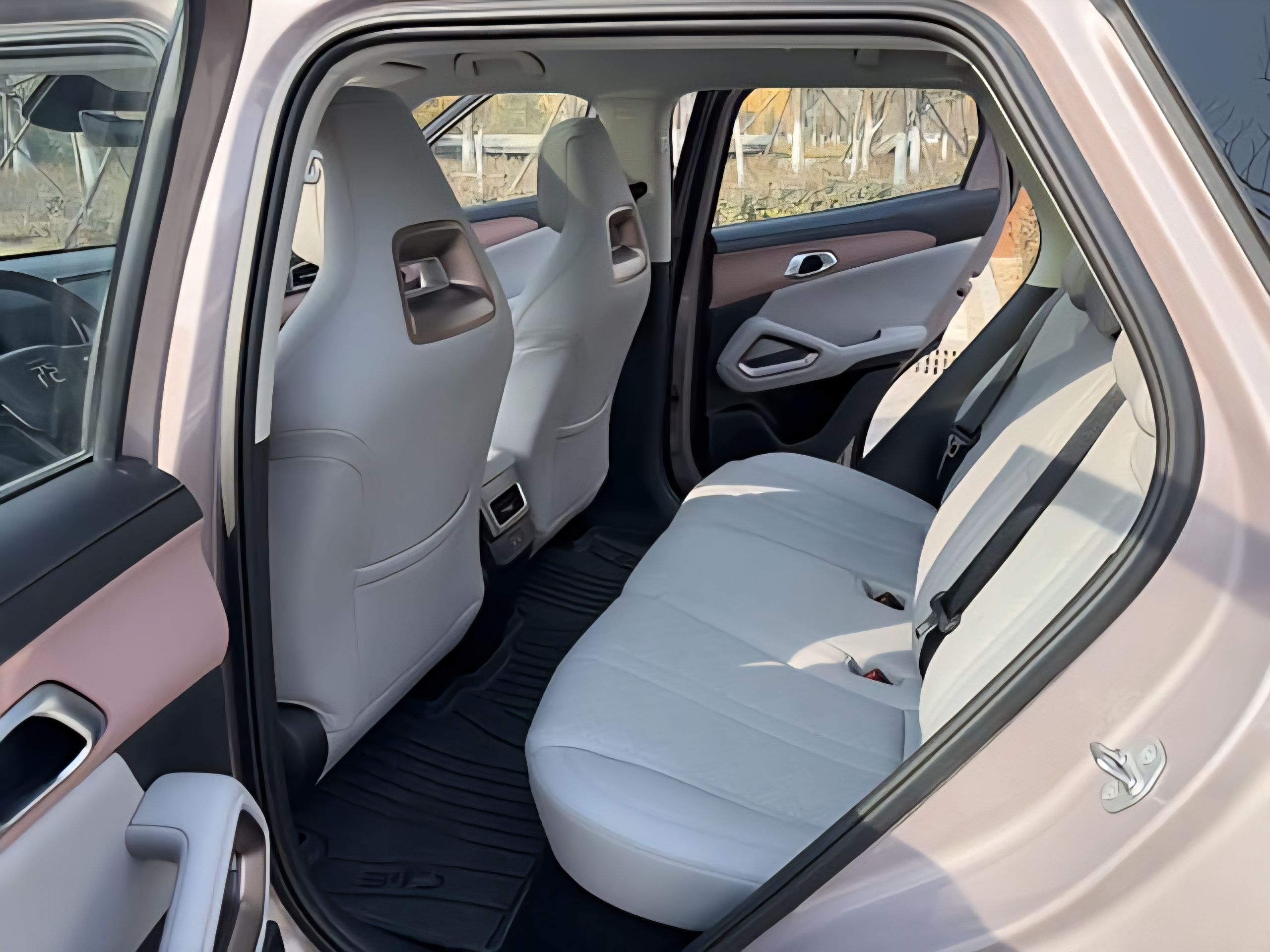 BYD Yuan UP Smart Driving 401km (Trim N/A) 4