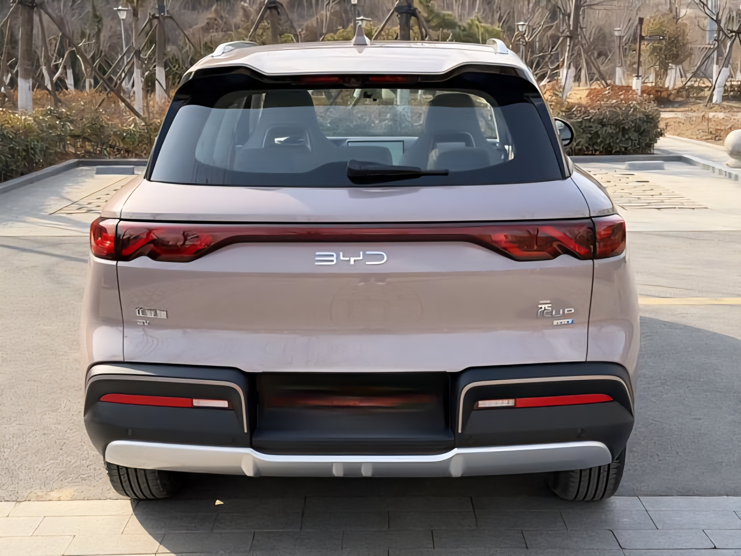 BYD Yuan UP Smart Driving 401km (Trim N/A) 2